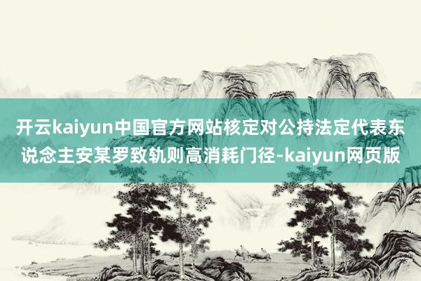 开云kaiyun中国官方网站核定对公持法定代表东说念主安某罗致轨则高消耗门径-kaiyun网页版