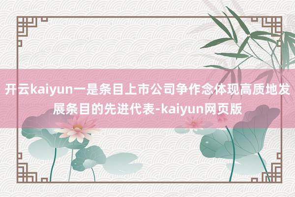 开云kaiyun一是条目上市公司争作念体现高质地发展条目的先进代表-kaiyun网页版