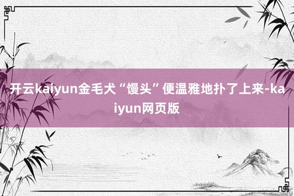 开云kaiyun金毛犬“馒头”便温雅地扑了上来-kaiyun网页版