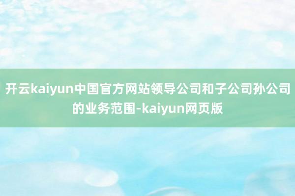 开云kaiyun中国官方网站领导公司和子公司孙公司的业务范围-kaiyun网页版