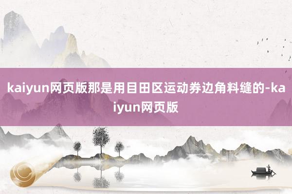 kaiyun网页版那是用目田区运动券边角料缝的-kaiyun网页版